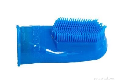 Ultimate Guide to Pet Dental Care: Keep Your Dog Healthy & Smiling