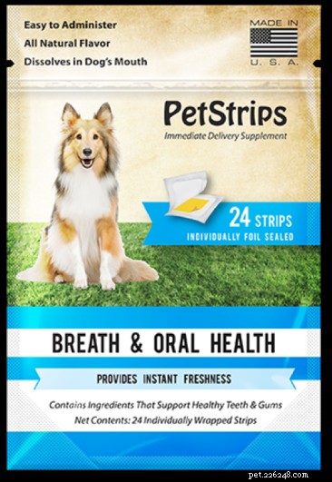 Ultimate Guide to Pet Dental Care: Keep Your Dog Healthy & Smiling