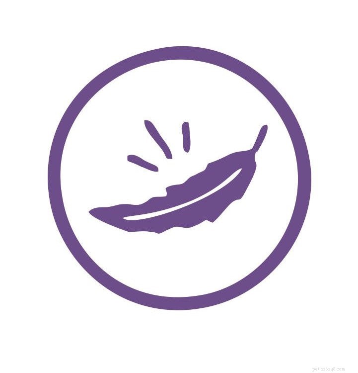 PetStrips: Premium, All-Natural Pet Supplements for Health & Wellness
