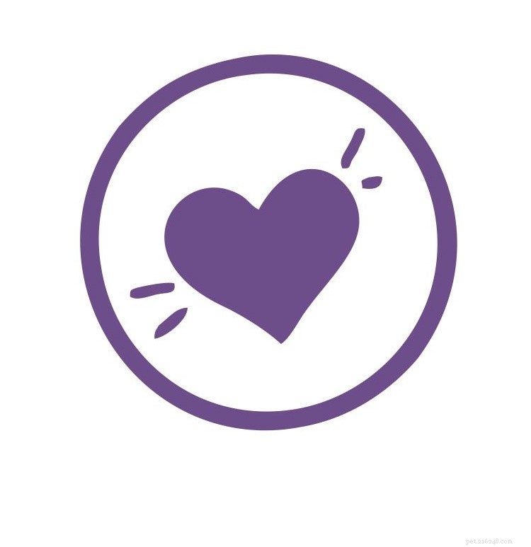 PetStrips: Premium, All-Natural Pet Supplements for Health & Wellness