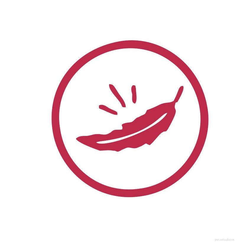 PetStrips: Premium, All-Natural Pet Supplements for Health & Wellness