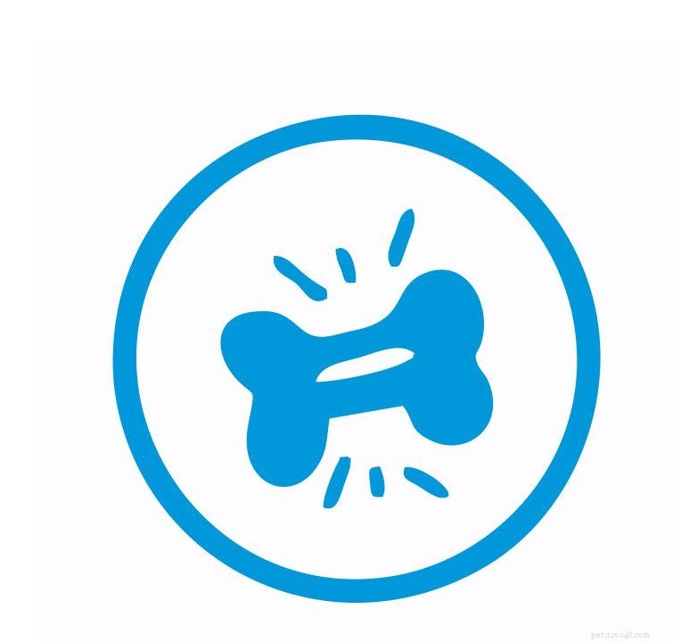 PetStrips: Premium, All-Natural Pet Supplements for Health & Wellness