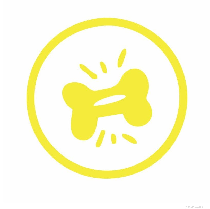 PetStrips: Premium, All-Natural Pet Supplements for Health & Wellness