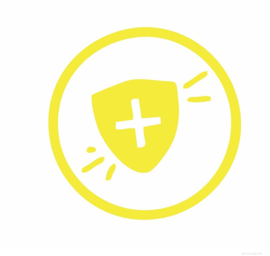 PetStrips: Premium, All-Natural Pet Supplements for Health & Wellness