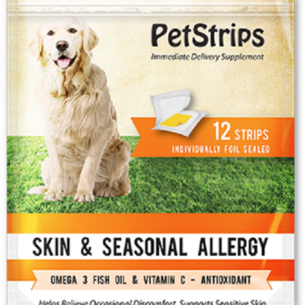 Reverse Sneezing in Dogs: Causes, Symptoms, and Effective Treatment