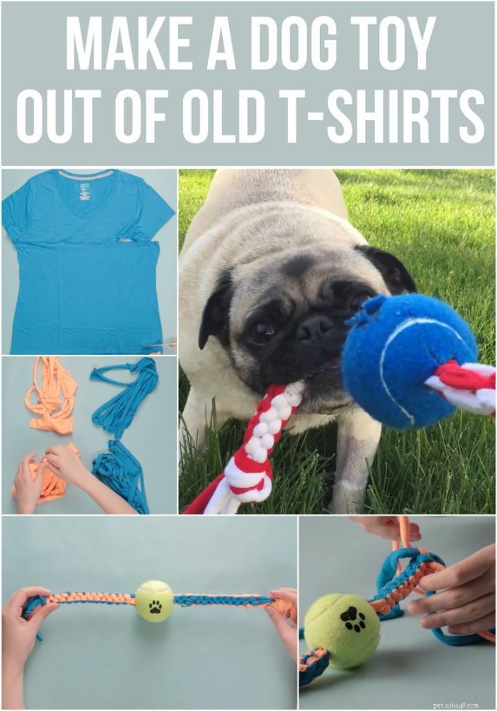 Effective Dog Toys to Ease Separation Anxiety