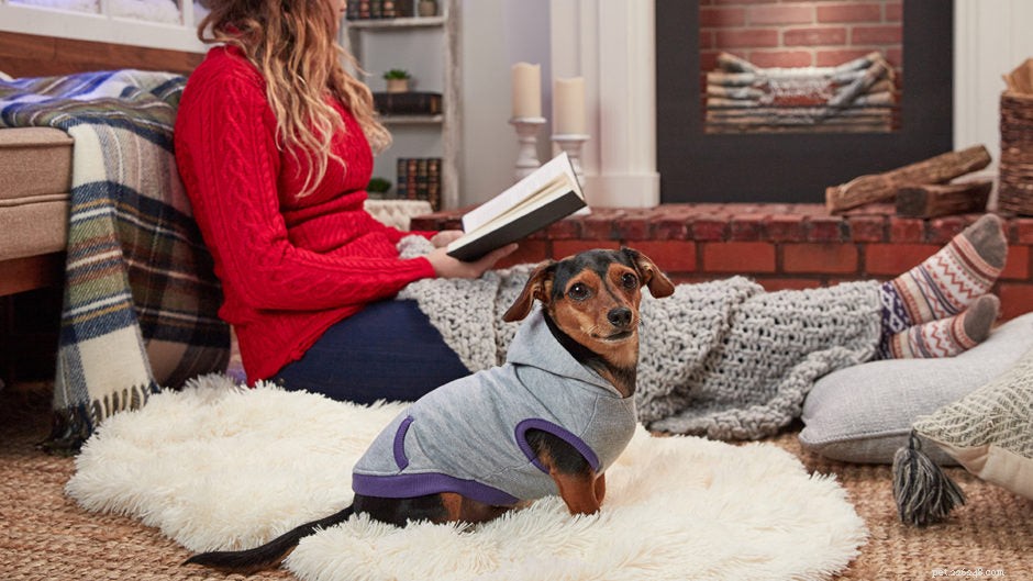 Essential Winter Care Guide for Your Dog