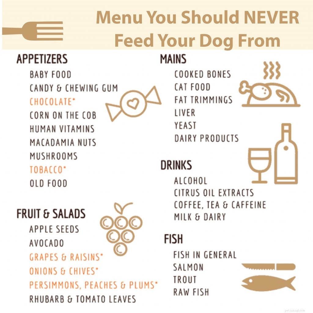 Foods You Must Avoid Giving Your Dog: A Complete Guide
