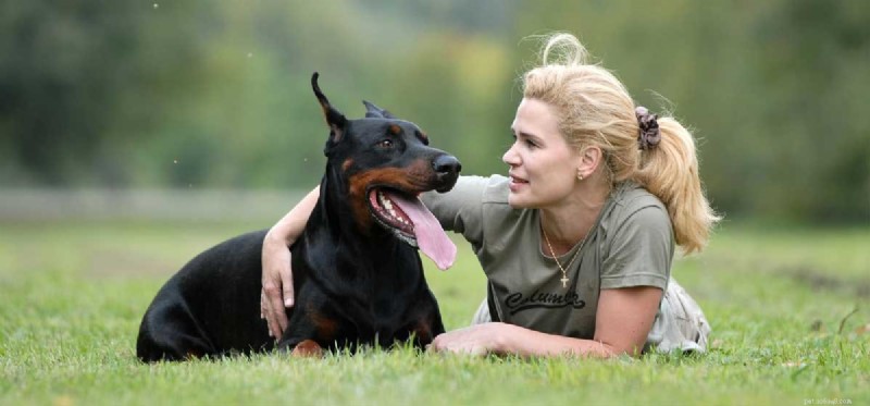 Do Dogs Truly Understand Human Hugs?