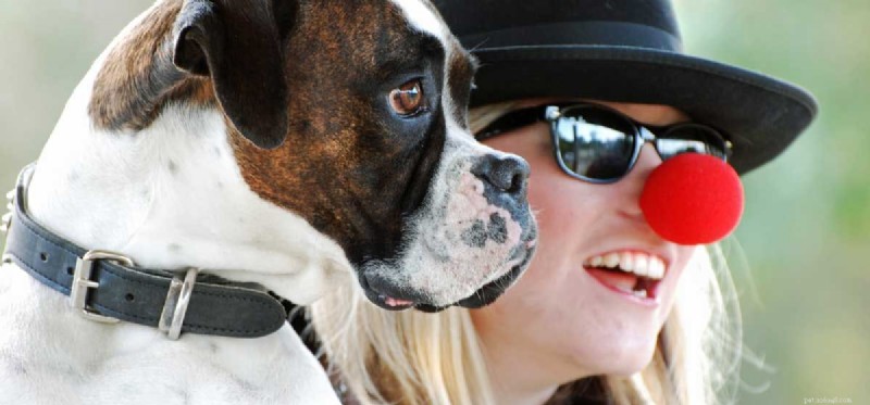 Can Dogs Truly Grasp Humor? Insights into Canine Comedy