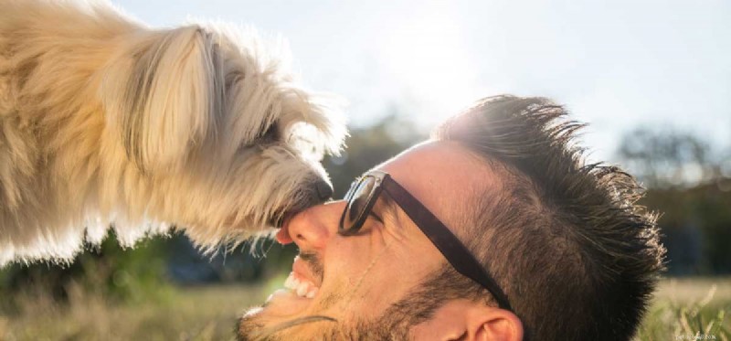 Do Dogs Detect Goodness in People? A Science‑Backed Insight