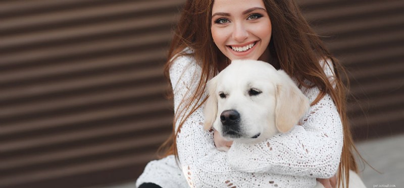 Can Dogs Detect Pregnancy? What Their Behavior Reveals