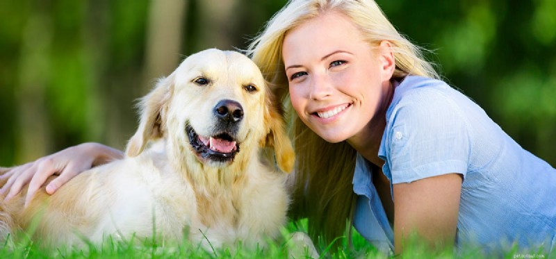 Can Dogs Detect Pregnancy? What Their Behavior Reveals