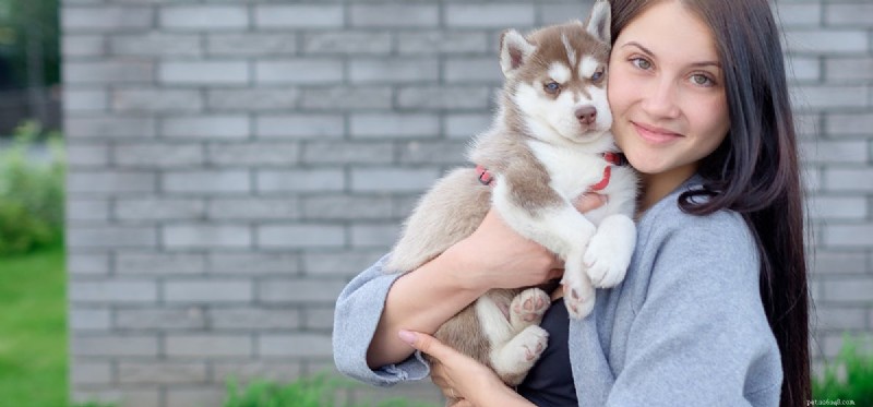 Can Dogs Detect Cancer in Humans? Proven Techniques & Latest Research