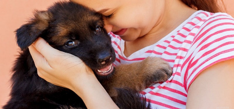 Can Dogs Experience Ticklishness? Insights for Pet Owners