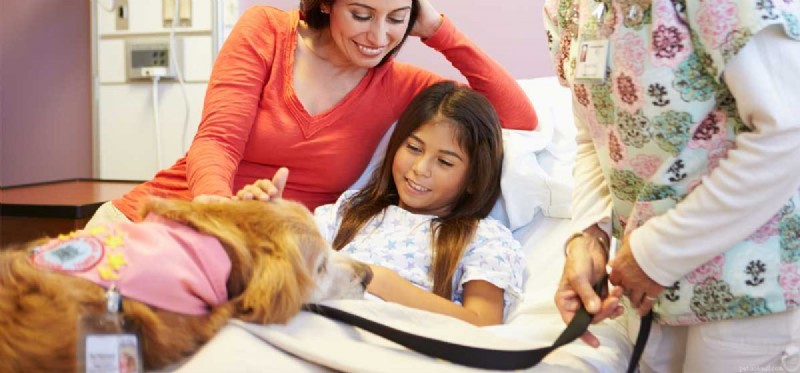 How Therapy Dogs Support Mental Health and Wellbeing