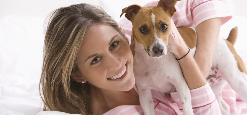 Can Dogs Turn Into Zombies? Separating Fact from Fiction