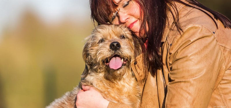 Can Dogs Fake a Cough? What You Need to Know