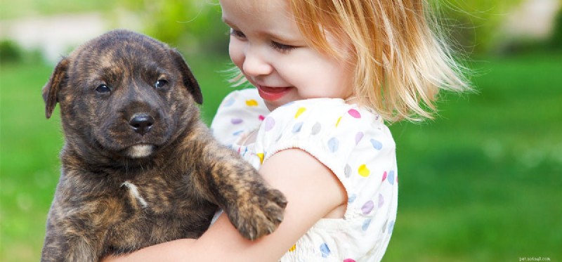 Can Dogs Fake a Cough? What You Need to Know