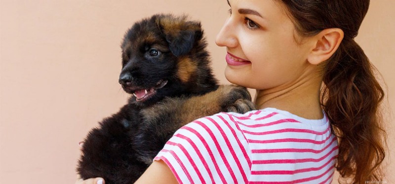 Do Dogs Truly Show Genuine Enthusiasm? Uncovering the Truth Behind Their Tail Wags