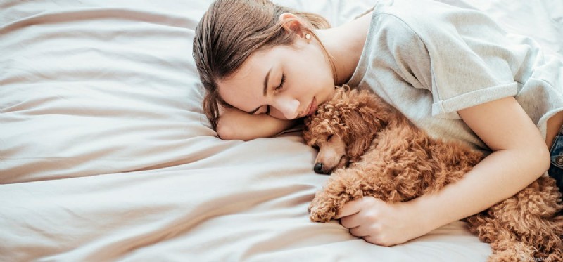 Do Dogs Experience Emotions? Understanding Their Feelings