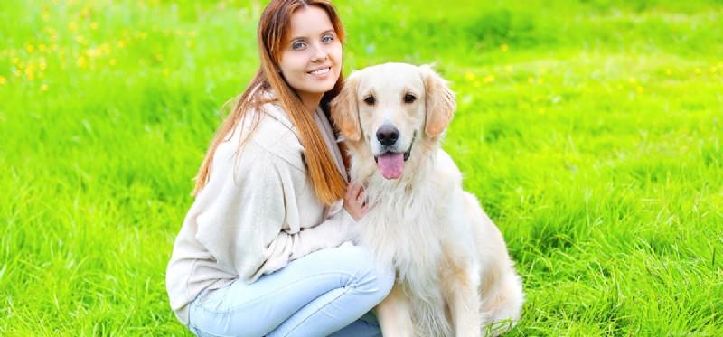 Do Dogs Experience Emotions? Understanding Their Feelings