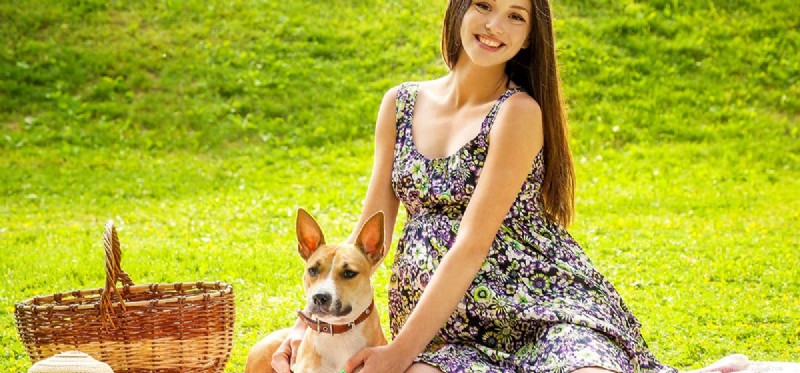 Do Dogs Sense Baby Movements While Their Owner is Pregnant?
