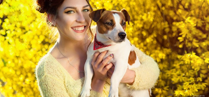 Do Dogs Truly Experience Love? A Scientific Perspective