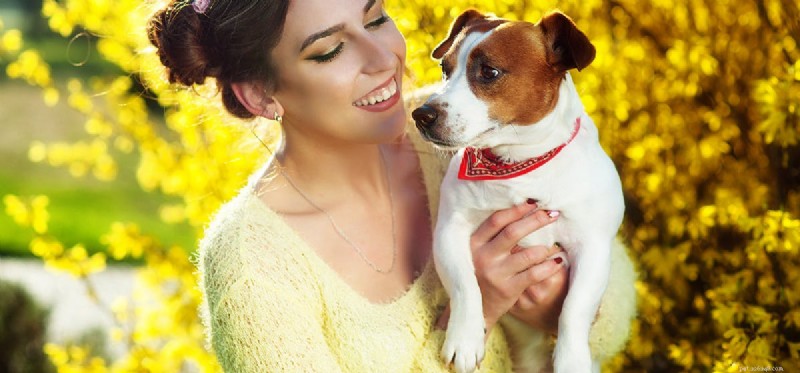 Do Dogs Truly Experience Love? A Scientific Perspective