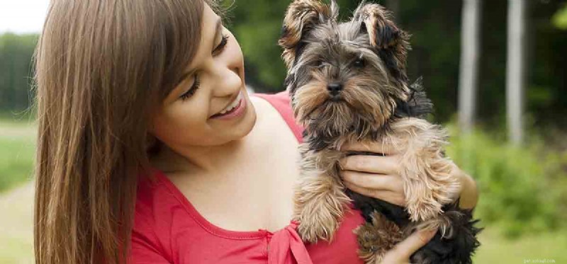 Do Dogs Truly Feel Love? Exploring the Science Behind the Bond