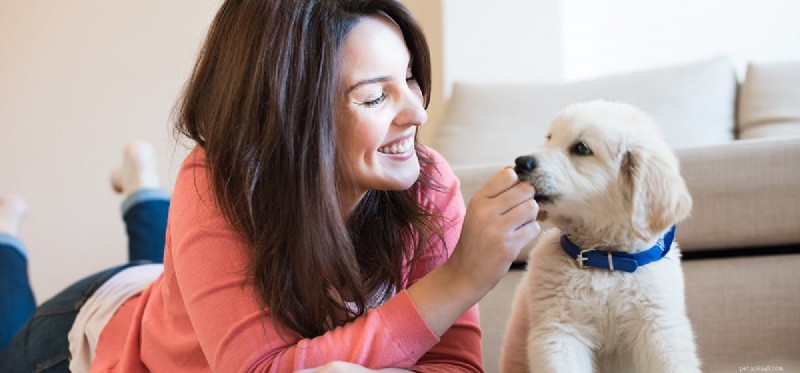 Do Dogs Truly Feel Love? Exploring the Science Behind the Bond