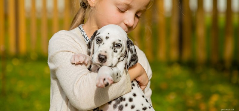 Do Dogs Truly Feel Unloved? Exploring Canine Emotions