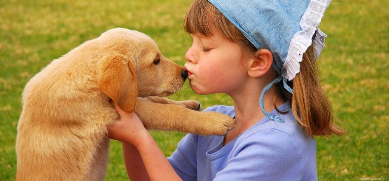Are Human Medications Safe for Dogs? Vet-Approved Guidelines