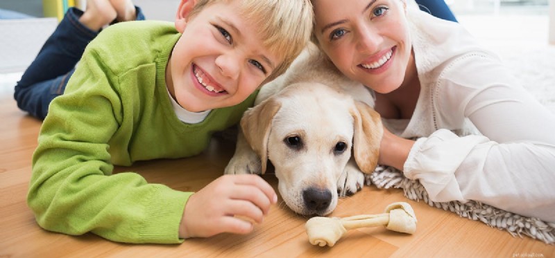Are Rib Bones Safe for Dogs? Expert Guidance on Feeding Bone to Your Canine