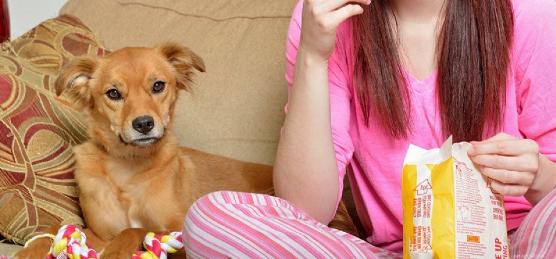 Is Salt Safe for Dogs? Understanding the Risks and Benefits