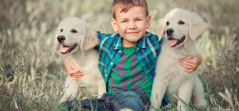 Is Excess Vitamin E Harmful to Dogs? Expert Guide