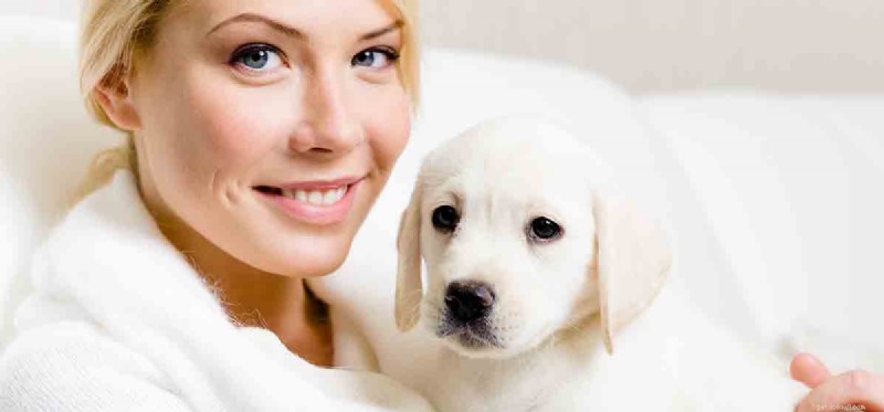 Do Dogs Truly Hear Human Heartbeats? Expert Insight
