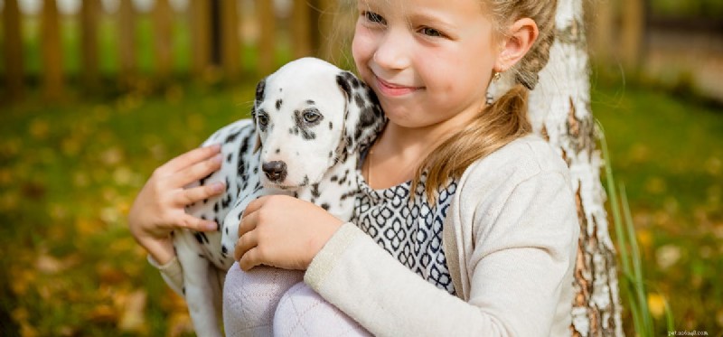 Do Dogs Truly Hear Human Heartbeats? Expert Insight