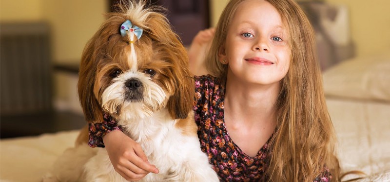 Do Dogs Hear Higher Pitches Than Humans? Science Explains
