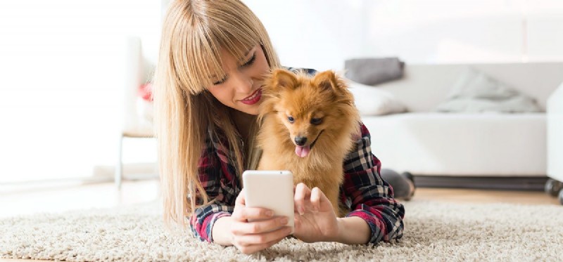Do Dogs Really Hear Us Over the Phone? Understanding Their Auditory Capabilities