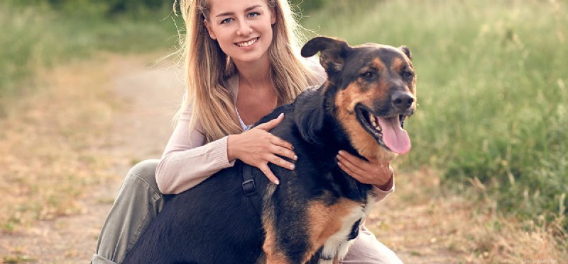 Dogs  Hearing Sensitivity: Can They Detect Sounds Twice as Loud as Humans?