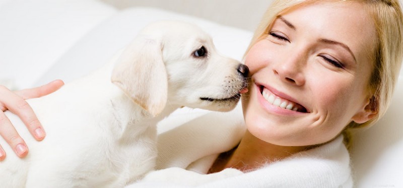 Do Dogs Actually Hear Your Thoughts? Understanding the Science Behind Canine Insight