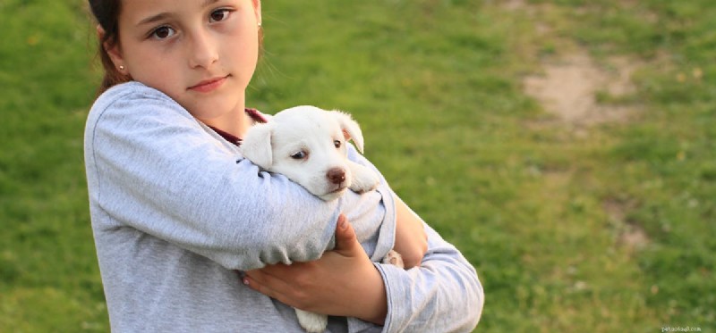 Dogs as Allies for ADHD: How Canine Support Improves Focus and Well‑Being