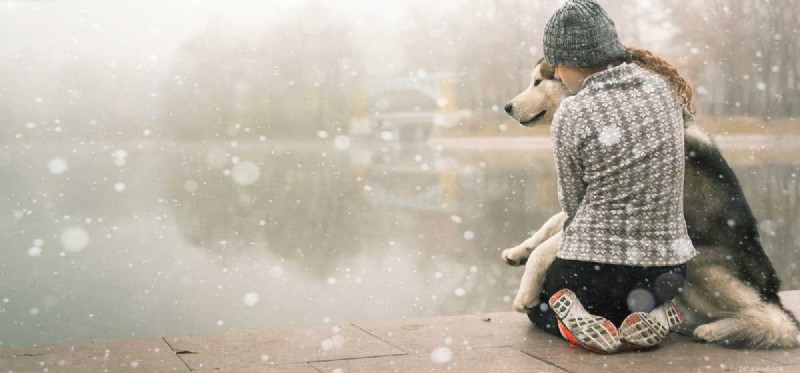 How Dogs Can Alleviate Anxiety: Proven Benefits & Practical Tips