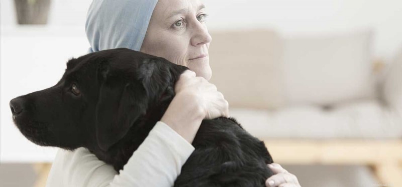 How Dogs Can Alleviate Anxiety: Proven Benefits & Practical Tips