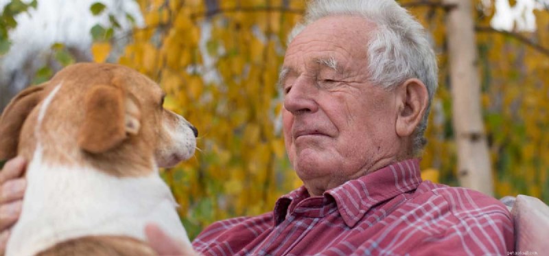 How Dogs Can Alleviate Anxiety: Proven Benefits & Practical Tips