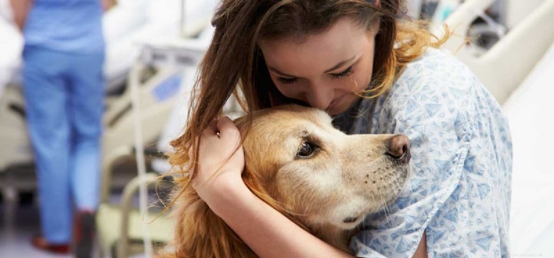 Can Dogs Ease Grief? How Pets Provide Comfort in Loss