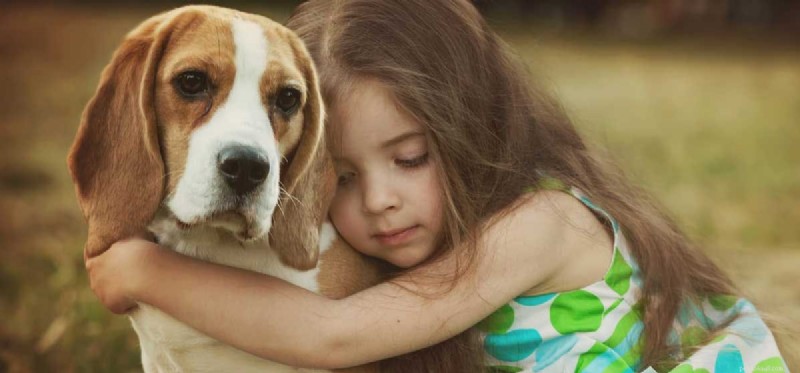 Can Dogs Ease Grief? How Pets Provide Comfort in Loss