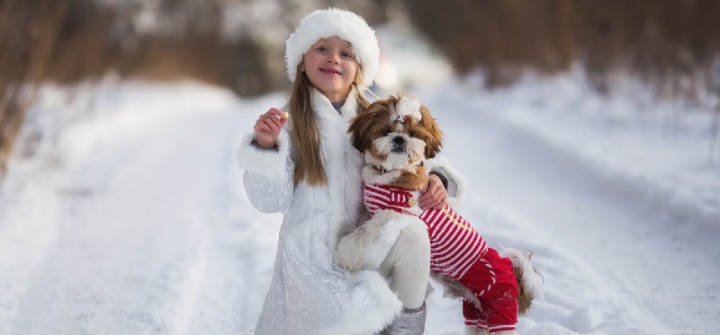 Keeping Your Dog Safe in Winter: A Guide to Cold Weather Care