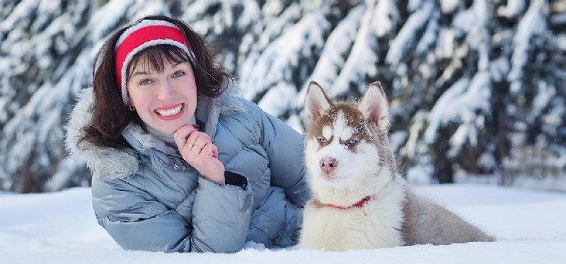 Keeping Your Dog Safe in Winter: A Guide to Cold Weather Care